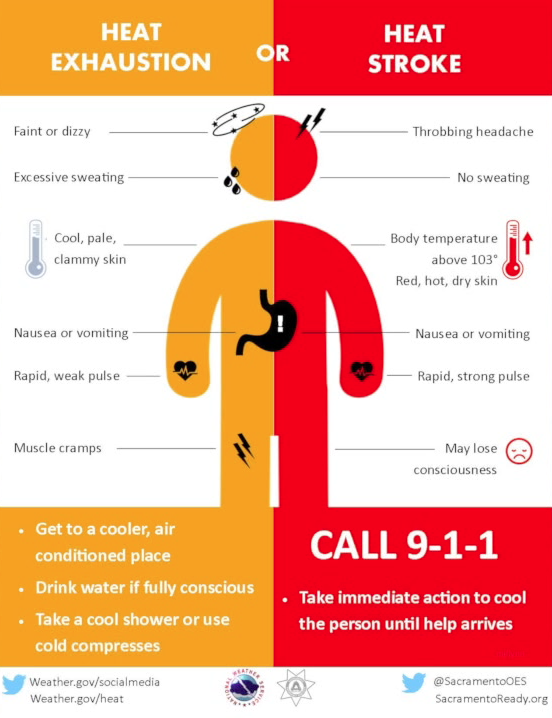 Extreme Heat Precautions And Tips To Stay Cool Wsil Tv 3 Southern 