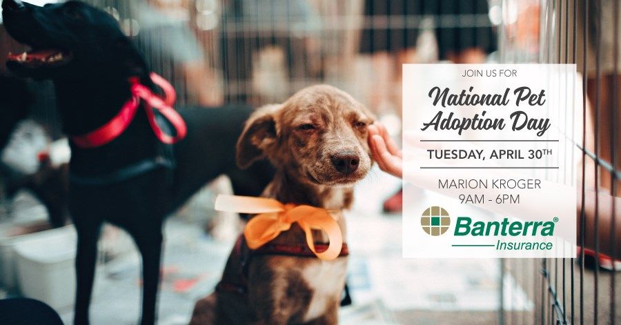 National AdoptAShelterPet Day coming to Marion Kroger